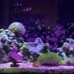 TS-S5403 Solar Disc Underwater Light RGB Swimming Pool Spotlight,Specification: - Image 7