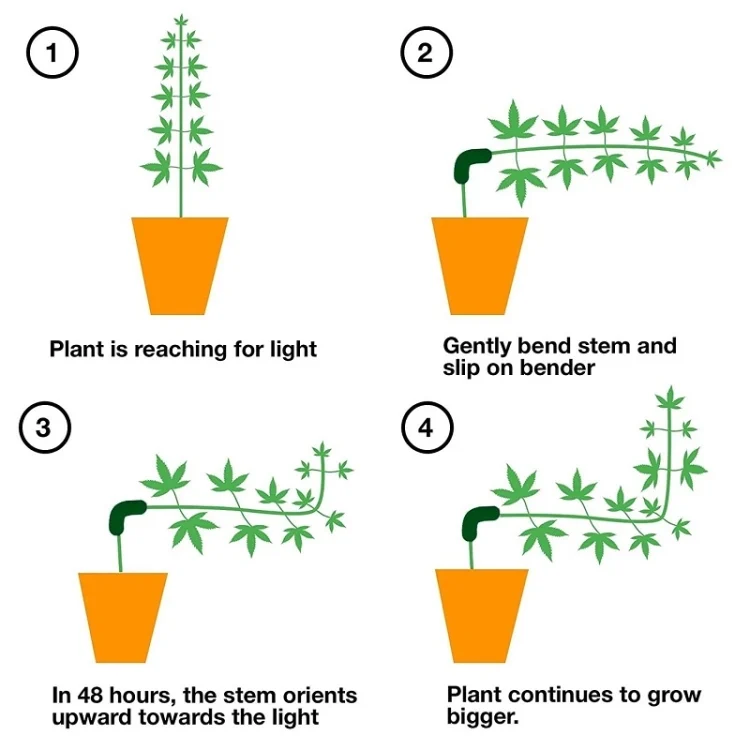 TBD0601761801A_4.webp HF-09 Plant Bending Control Growth Training Clip Garden Decoration - Image 5