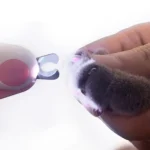 Pet Nail Clippers With LED Blood Line Light - Image 3