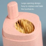 MS-263 Press Toothpick Box Kitchen Gadget - Image 3