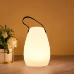 USB Charging Romantic Colorful Portable Night Light Support Remote Control