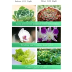 LED Full Spectrum Plant Growth Light - Image 6