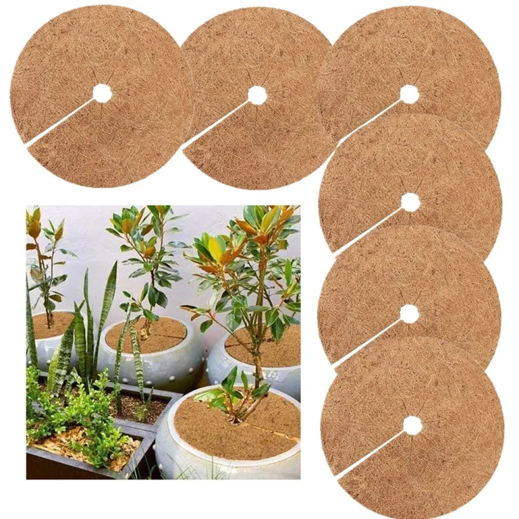 TBD0601889901.webp 6 PCS/Set Plant Root Antifreeze Flowerpot Coconut Palm Flat Mat, Size: - Image 1