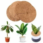 6 PCS/Set Plant Root Antifreeze Flowerpot Coconut Palm Flat Mat, Size: - Image 5