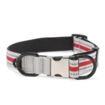 Dog Reflective Nylon Collar