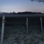 209A Solar High Frequency Flash Nocturnal Animal Repeller - Image 7