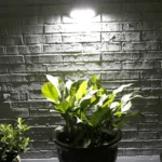 Red Copper Human Body Induction Solar Wall Light - Image 6