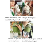 Saylee 500ML Borosilicate Glass Straw Cup - Image 5