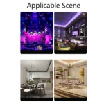 Acrylic Leaf Shape Fruit Tray and Shelf, Style: - Image 7