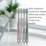 2 Boxes RAOYI Nano Toothbrush Ceramic Hand Brush Handle - Image 5