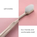 2 Boxes RAOYI Nano Toothbrush Ceramic Hand Brush Handle - Image 7