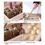 Nut Walnut Macadamia Opener Fruit Opener - Image 4