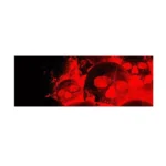 D-954 Flame Skeleton Rear Window Pattern Sticker Truck SUV Behind Wind Glass Stickers - Image 2