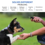 Electronic Dog Trainer Rechargeable Pet Remote Control Bark Stopper - Image 7