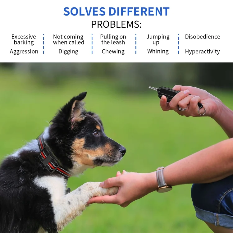 TBD0602465501_B6.webp Electronic Dog Trainer Rechargeable Pet Remote Control Bark Stopper - Image 7
