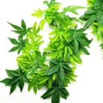 Climbing Pet Boxes Aquarium Fish Tank Landscaping Simulation Plant, Style: - Image 3