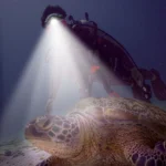 Diving Headlamp 60m Underwater Headlight XM-L2 Led Scuba head Flashlight - Image 7