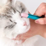 Cat Eye Brush Pet Eye Cleaner Cat Hair Knot Brush - Image 6