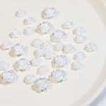 SP0473 30Pcs/Pack 3D Camellia Nail Art Decorative Rhinestones