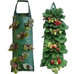 Multi-Port Grow Bags For Plant Strawberry Potato Hanging Planting Pots, Size: 10 Port - Image 3