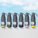 LY-0621 Five-Fold Six-bone Umbrella Simple Black Glue Sunscreen Umbrella - Image 2