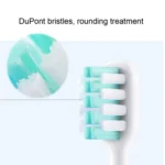 3 PCS For DR. Bei Electric Toothbrush Replacement Head - Image 5