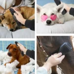 LAN-888 Beauty Massage Multifunctional Pet Brush Horse Brush - Image 6