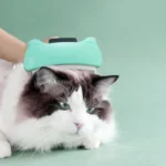Pet Automatic Hair Removal Comb Curved Cat and Dog Open-knot Comb - Image 5