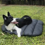 Pet Outdoor Waterproof Cushion Camping Cats And Dog Sleeping Pad, Size: