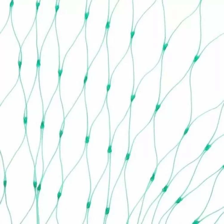 TBD0602844201_B2.webp Anti Bird Protection Net Mesh Garden Plant Netting Protect Plants and Fruit - Image 3