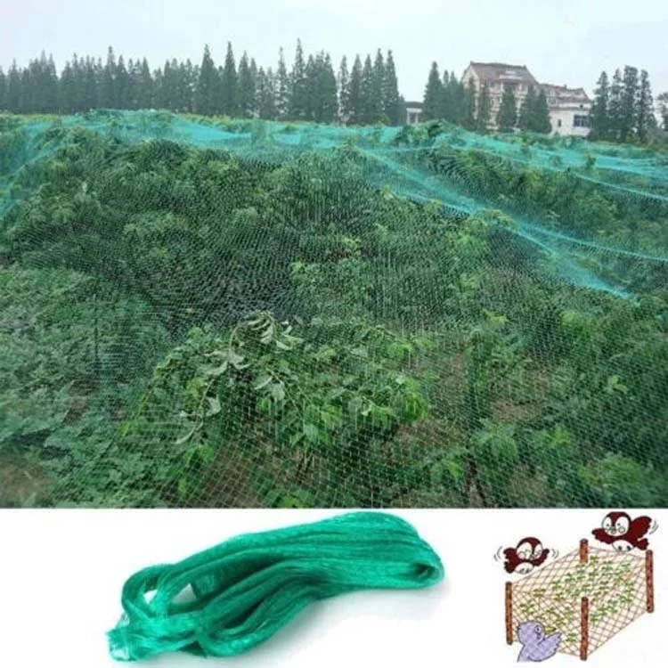 TBD0602844201_B3.webp Anti Bird Protection Net Mesh Garden Plant Netting Protect Plants and Fruit - Image 4