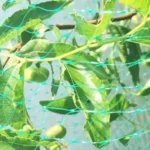 Anti Bird Protection Net Mesh Garden Plant Netting Protect Plants and Fruit - Image 5