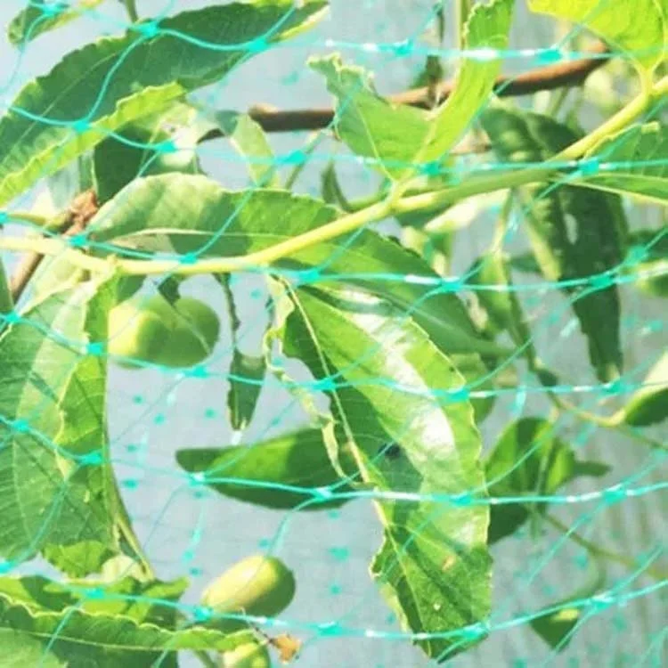 TBD0602844201_B4.webp Anti Bird Protection Net Mesh Garden Plant Netting Protect Plants and Fruit - Image 5