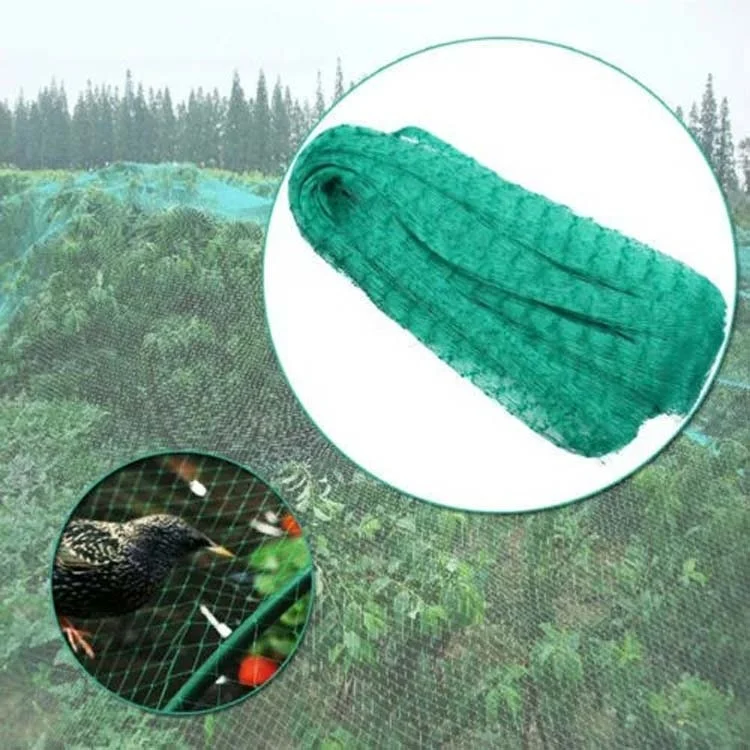 TBD0602844201_B5.webp Anti Bird Protection Net Mesh Garden Plant Netting Protect Plants and Fruit - Image 6