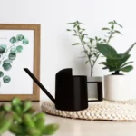 300ML Stainless Steel Watering Can with Long Spout - Image 5