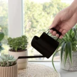 300ML Stainless Steel Watering Can with Long Spout - Image 6