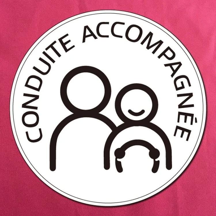 TBD0603130201_B1.webp 20 PCS Dual People Waterproof And Sun Protection Magnetic Car Sticker - Image 2