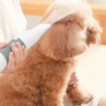 3 in 1 600W Pet Electric High Wind Hair Removal Blowing Combs, Specification: - Image 7