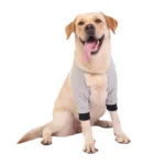 Pet Knee Pads Breathable Dog Elbow Brace Front Leg Brace - Image 2