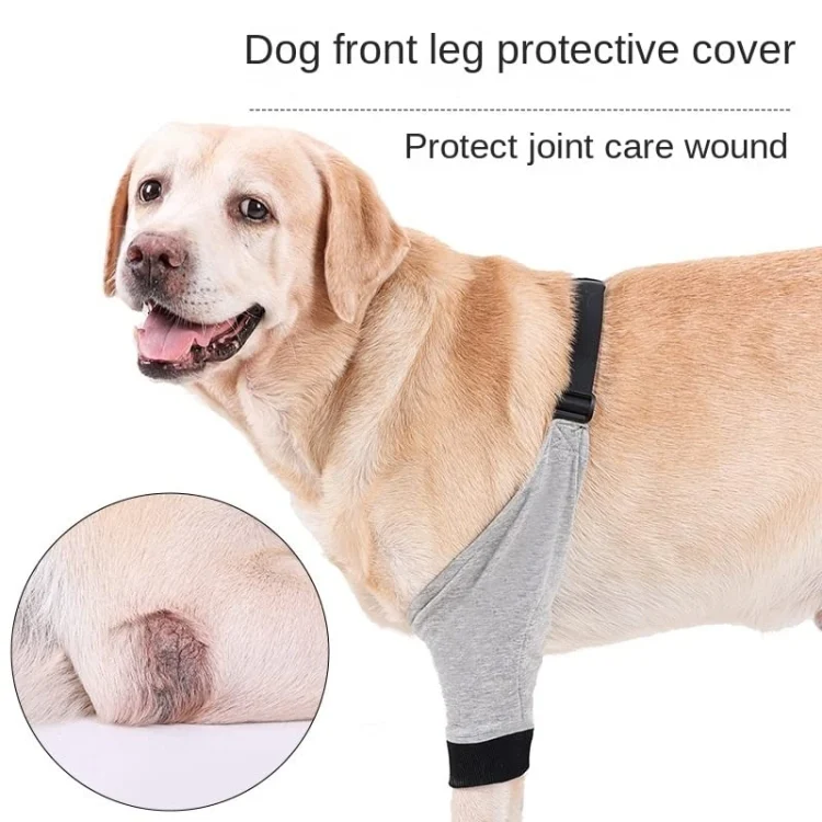 TBD0603216301_B2.webp Pet Knee Pads Breathable Dog Elbow Brace Front Leg Brace - Image 3