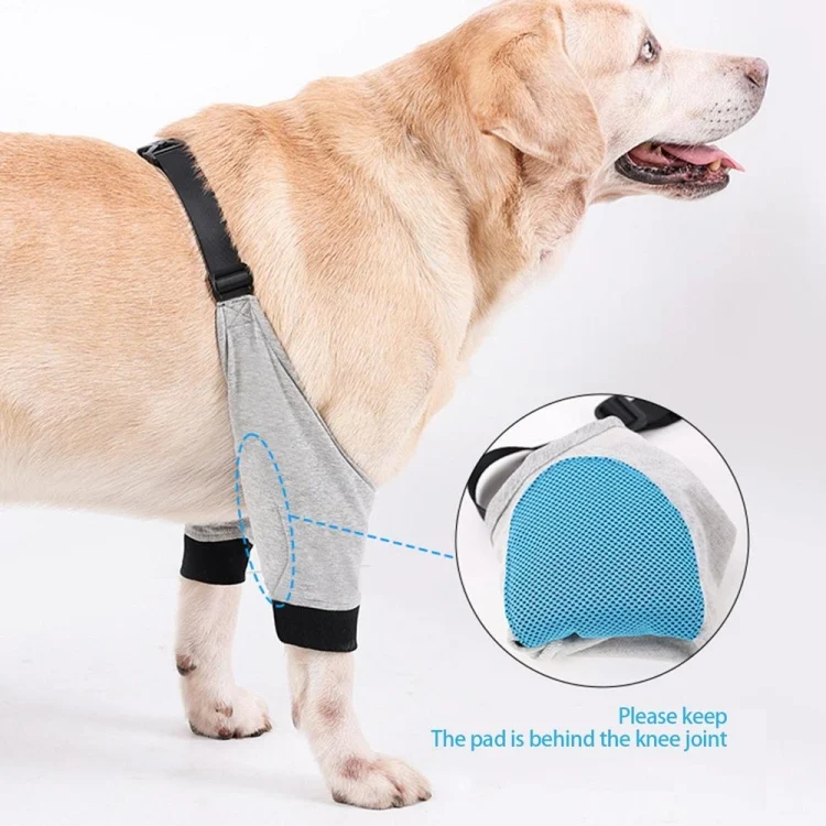 TBD0603216301_B4.webp Pet Knee Pads Breathable Dog Elbow Brace Front Leg Brace - Image 5