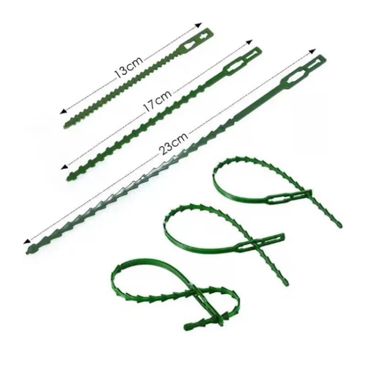 TBD0603227601_B2.webp Multi-Purpose Garden Plants Fishbone Cable Ties, Length: 23cm/50pcs - Image 3