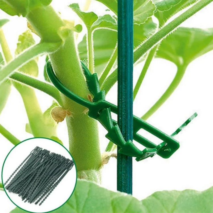 TBD0603227601_B3.webp Multi-Purpose Garden Plants Fishbone Cable Ties, Length: 23cm/50pcs - Image 4