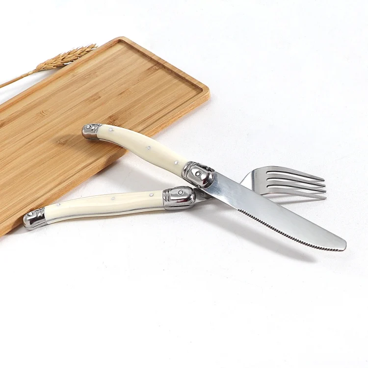 TBD0603252003_B1.webp Stainless Steel Knife Fork Spoon Set Plastic Handle Western Tableware - Image 2