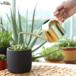 450ML Stainless Steel Long Mouth Gardening Watering Pot - Image 6