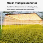 LED Quantum Board Edged Greenhouse Plant Growth Fill Light - Image 10