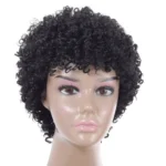 WIG-T003 Ladies High Temperature Silk Short Curly Wig Elastic Mesh Headgear
