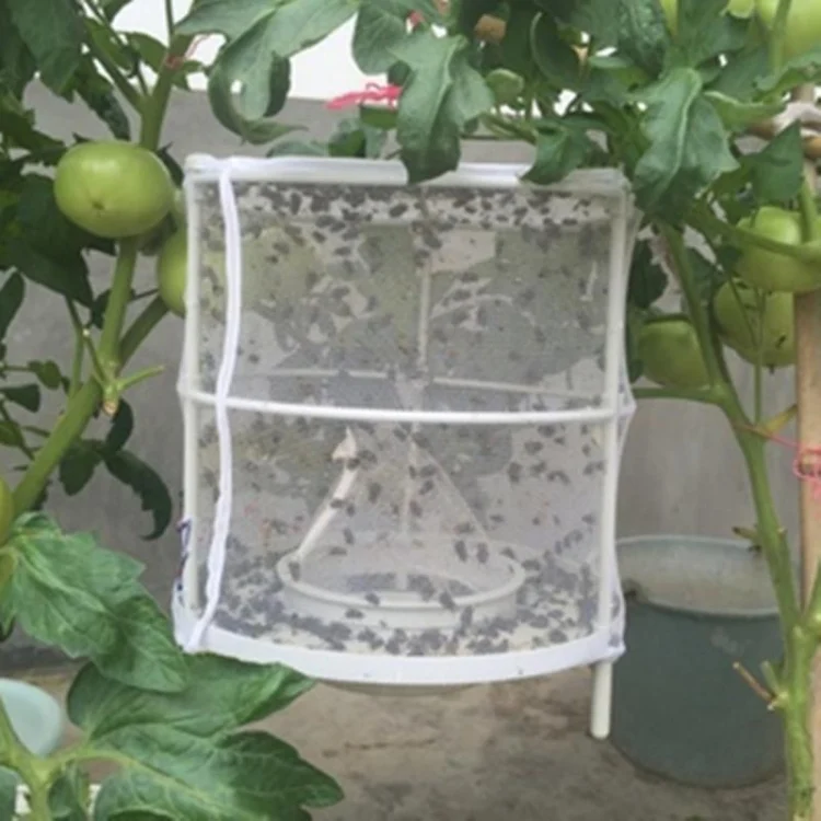 TBD06035076_2.webp CXW003 Fly Trap Fly Killer Household Fly Catcher - Image 3