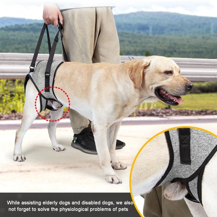 TBD0603514203_B4.webp Dog Hind Leg Auxiliary Strap Decompression Auxiliary Travel Belt For Elderly and Injured Dog - Image 5