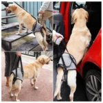 Dog Hind Leg Auxiliary Strap Decompression Auxiliary Travel Belt For Elderly and Injured Dog - Image 6